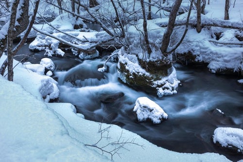 冬の奥入瀬の流れの写真