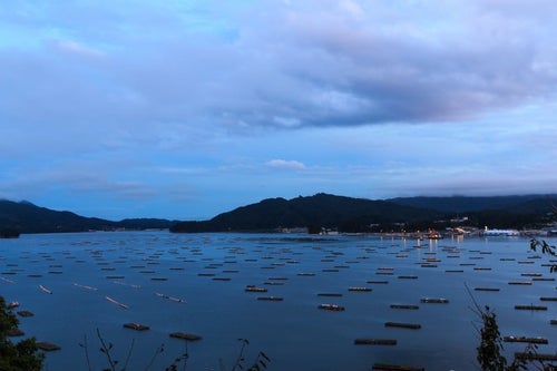 牡蠣の養殖筏の写真