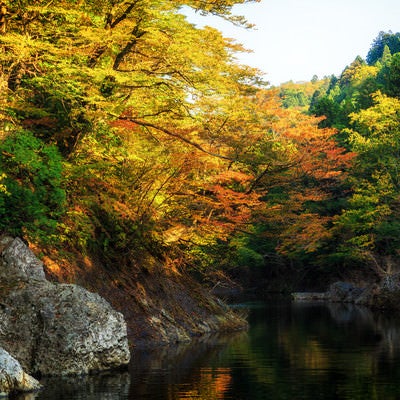 紅葉の渓谷の写真