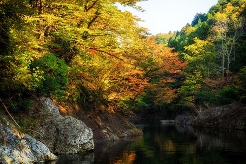 紅葉の渓谷の写真
