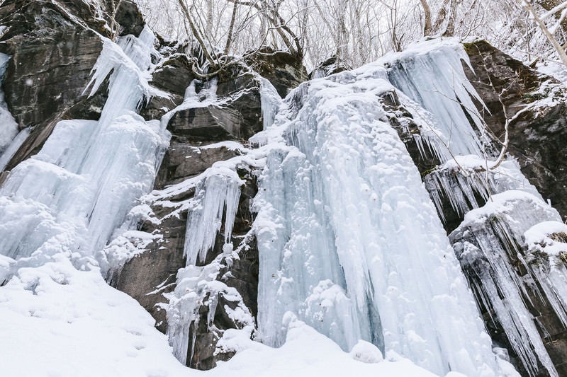 奥入瀬の氷柱の写真