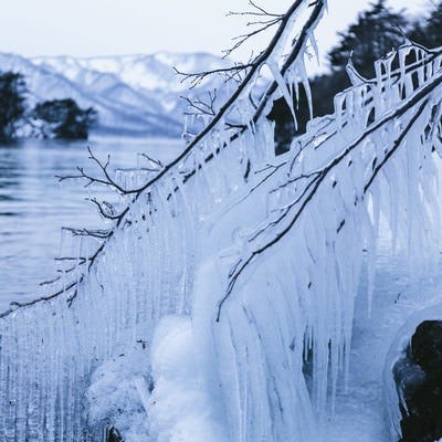十和田湖のしぶき氷の写真
