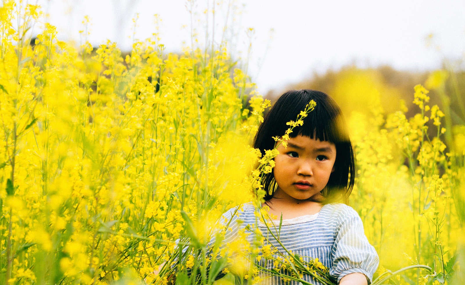 「菜の花畑と女の子」の写真［モデル：あんじゅ］