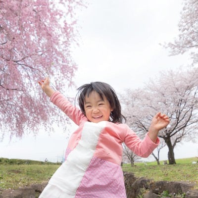 桜満開大興奮の写真