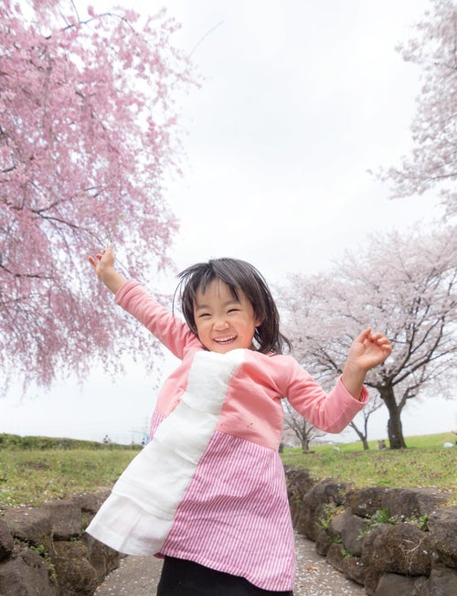 桜満開大興奮の写真