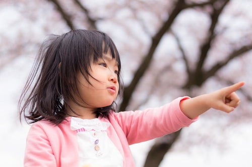 桜の季節、小さい女の子の写真