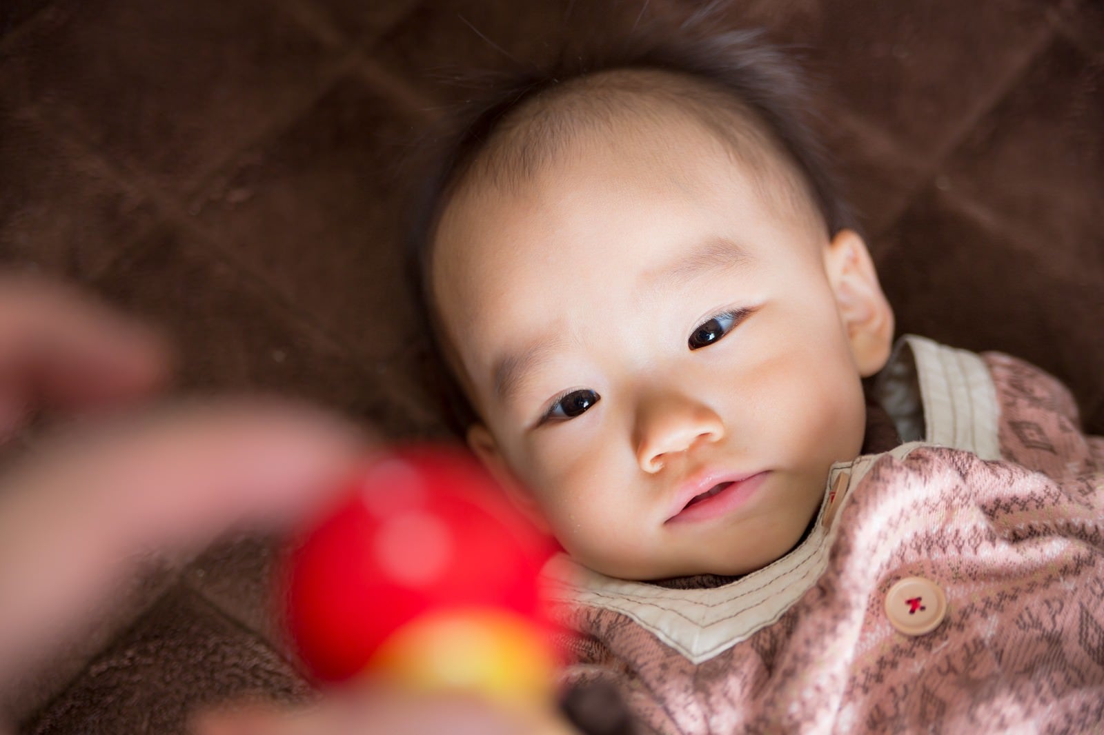 「おもちゃを欲しがる赤ちゃん」の写真［モデル：あんじゅ］