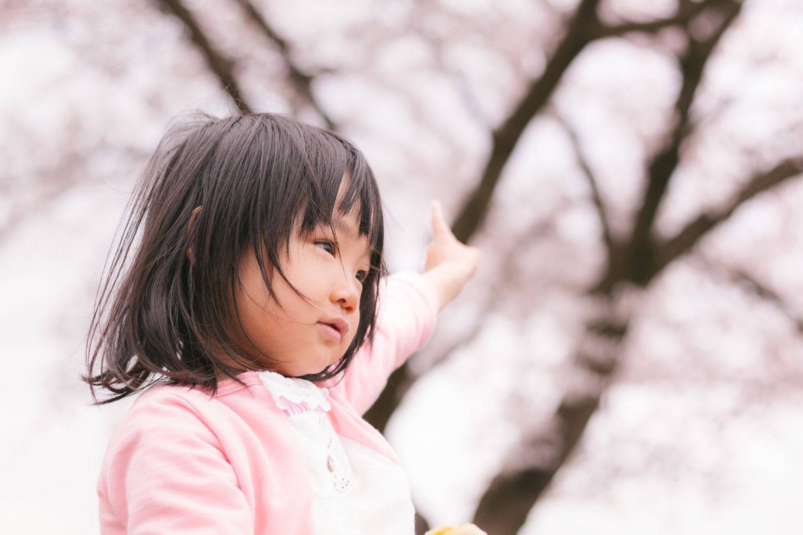 「あれは梅なのか桜なのか聞いてくる子供」の写真［モデル：あんじゅ］