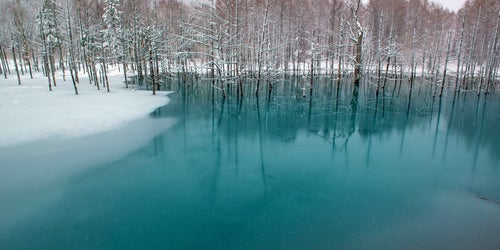 北海道美瑛の青い池の写真