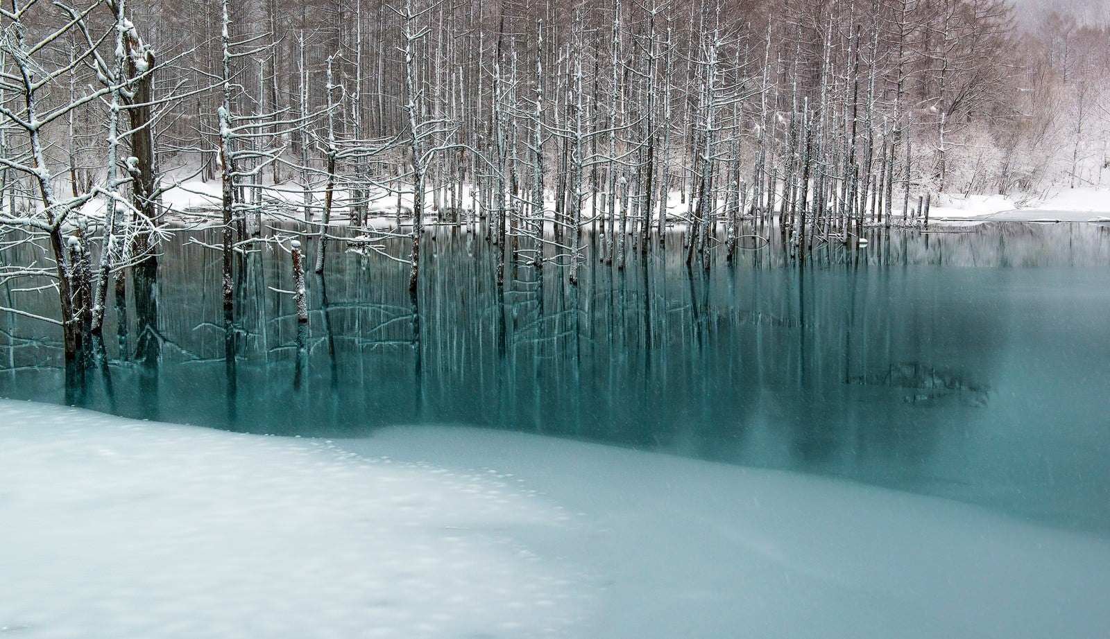 「青い池と雪」の写真