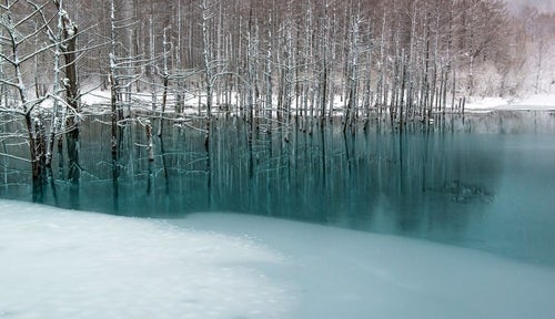 青い池と雪の写真