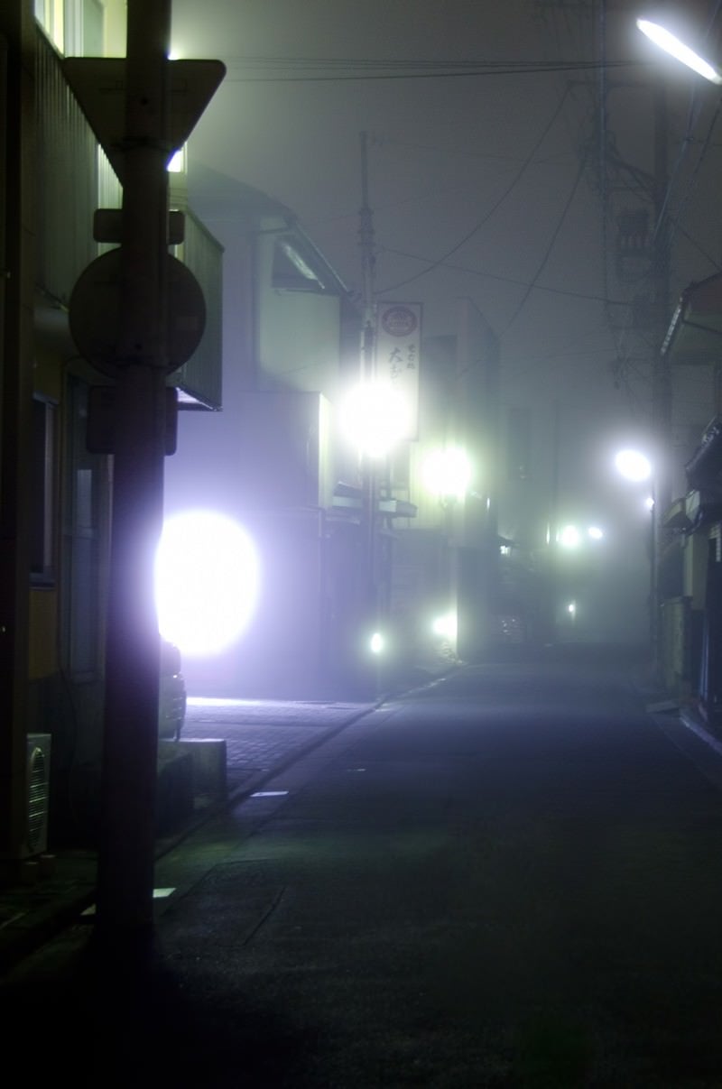 「霧が出た夜道」の写真