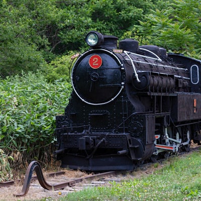 4110形式十輪連結タンク機関車2号の写真