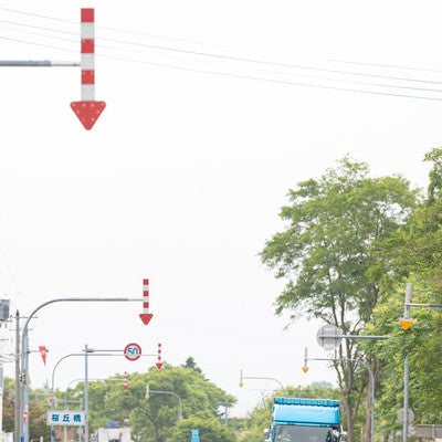 道路に連なる矢印「固定式視線誘導柱」の写真