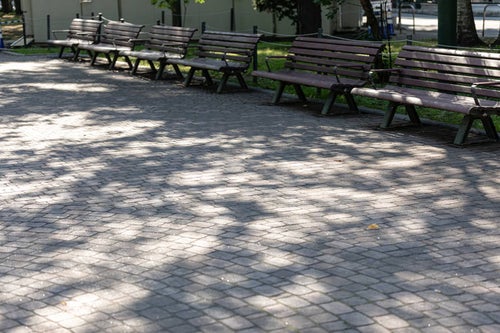 木漏れ日の影とベンチの写真