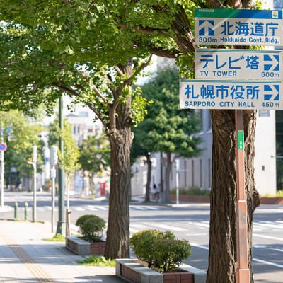 大通公園付近の歩道に設置してある指導標識の写真