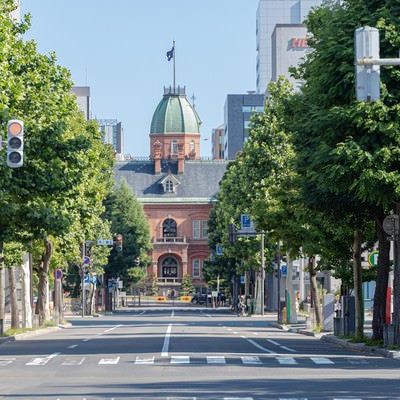 通りの向こうに見える北海道庁旧本庁舎（赤レンガ庁舎）の写真