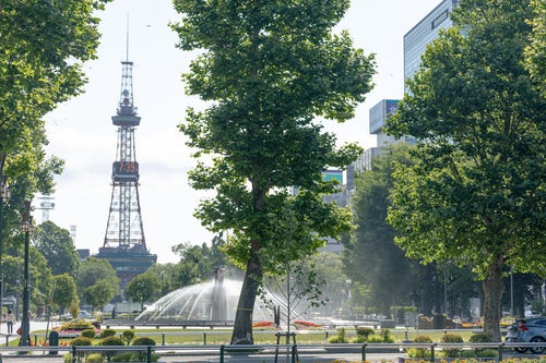大通公園の風景（北海道札幌市中央区）の写真