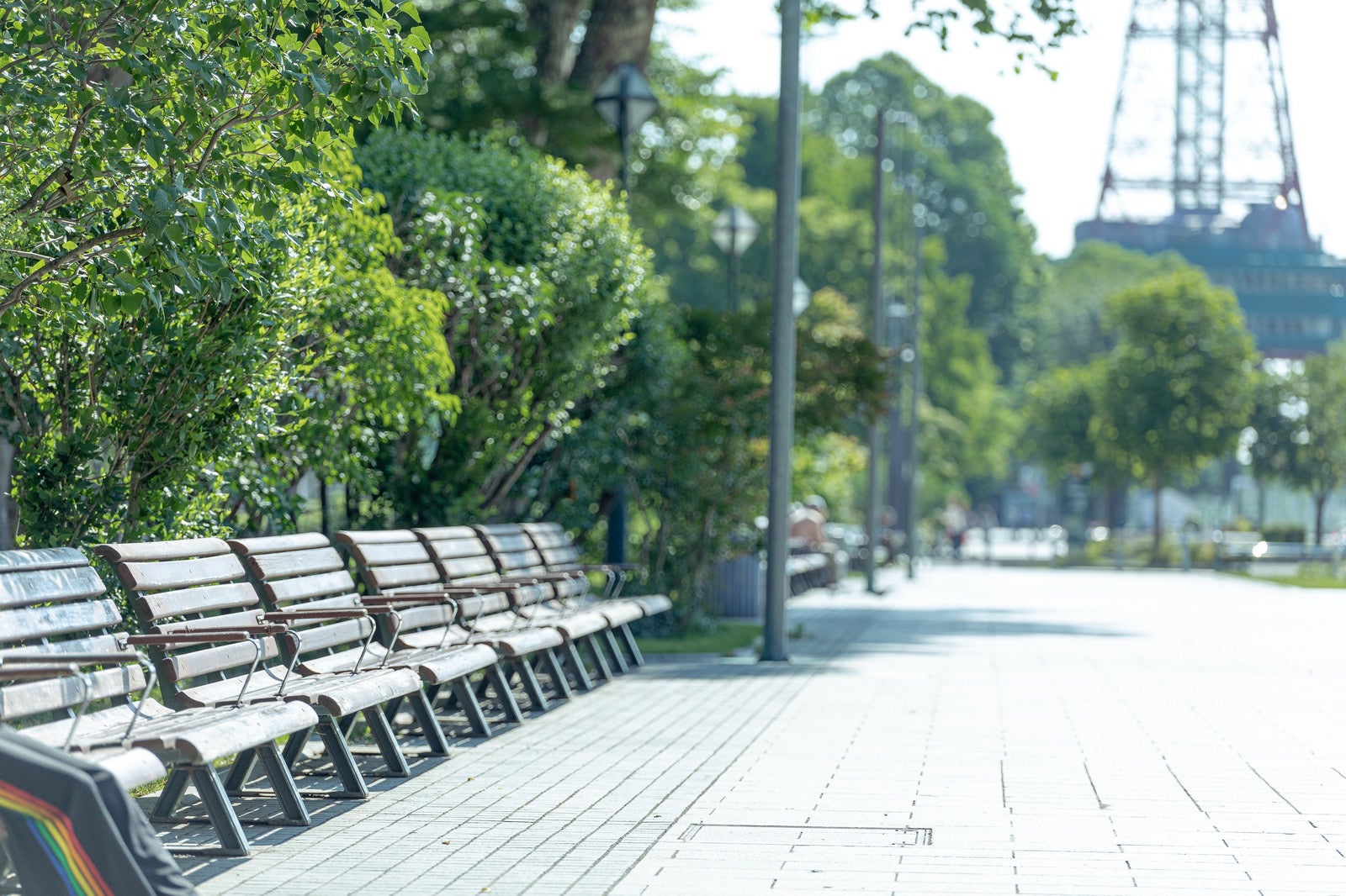 「札幌大通り公園のベンチ」の写真