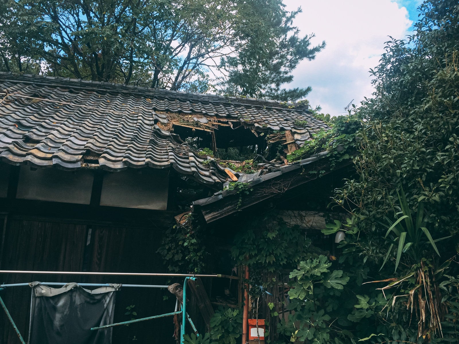 「屋根に穴が空き無残に倒壊していく廃屋」の写真
