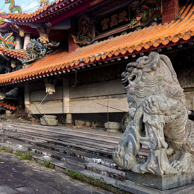 地震で崩れた寺院に鎮座する狛犬の石像（台湾）の写真