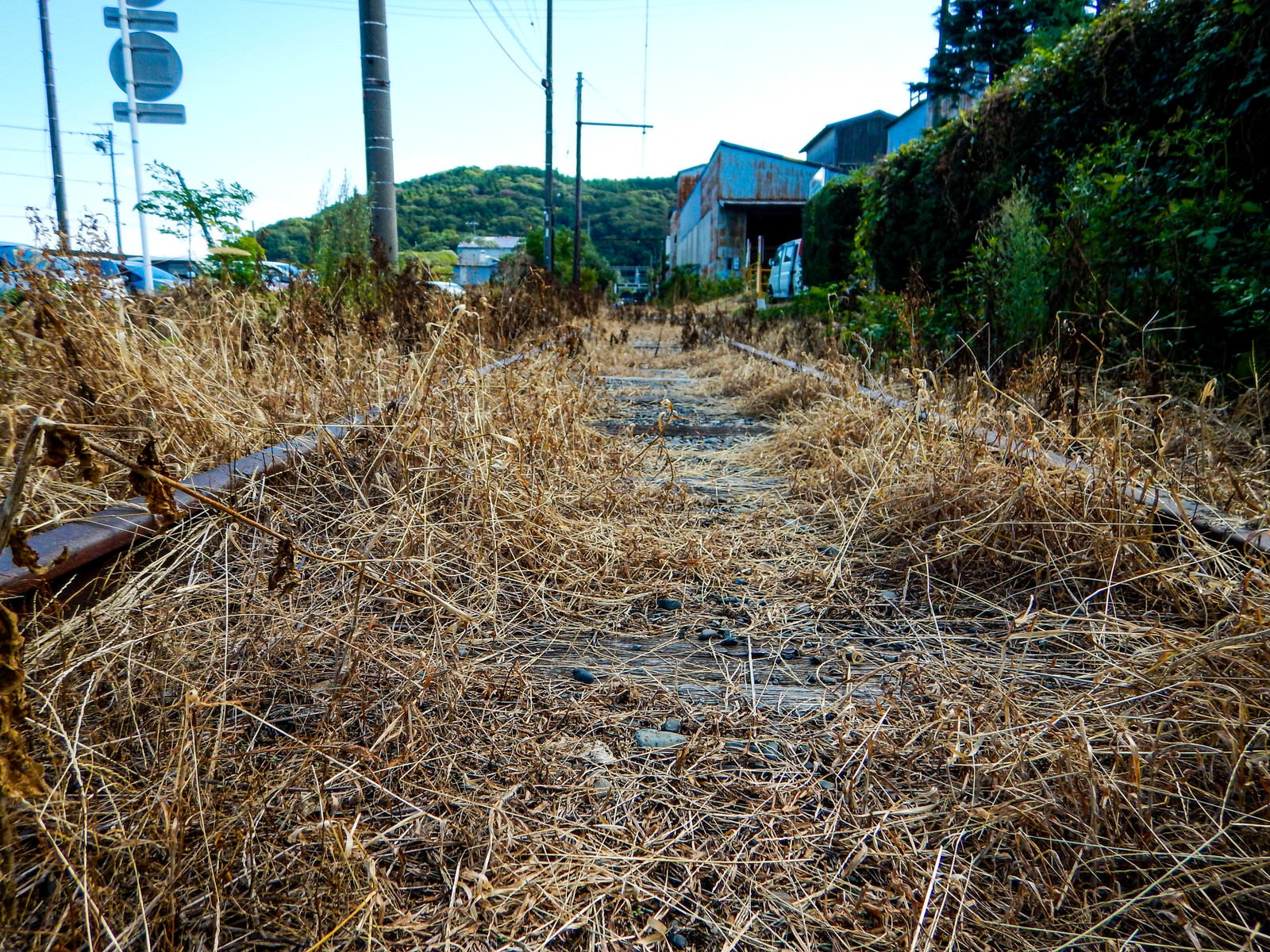 「枯草で覆われた廃線」の写真