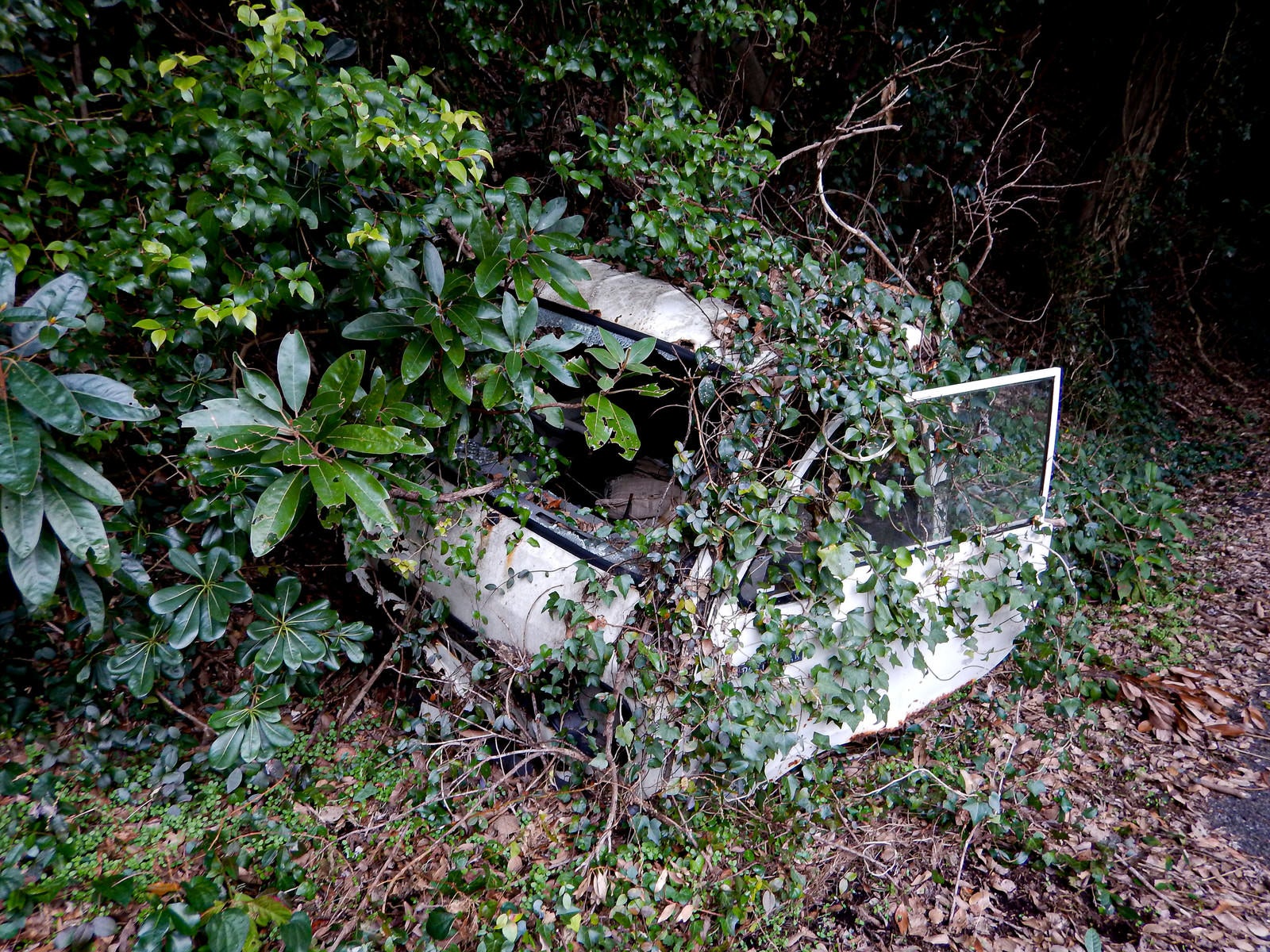 「乗り捨てられたまま放置された廃車」の写真