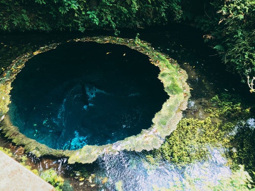 湧き水で水苔の輪が広がる柿田川（静岡県）の写真