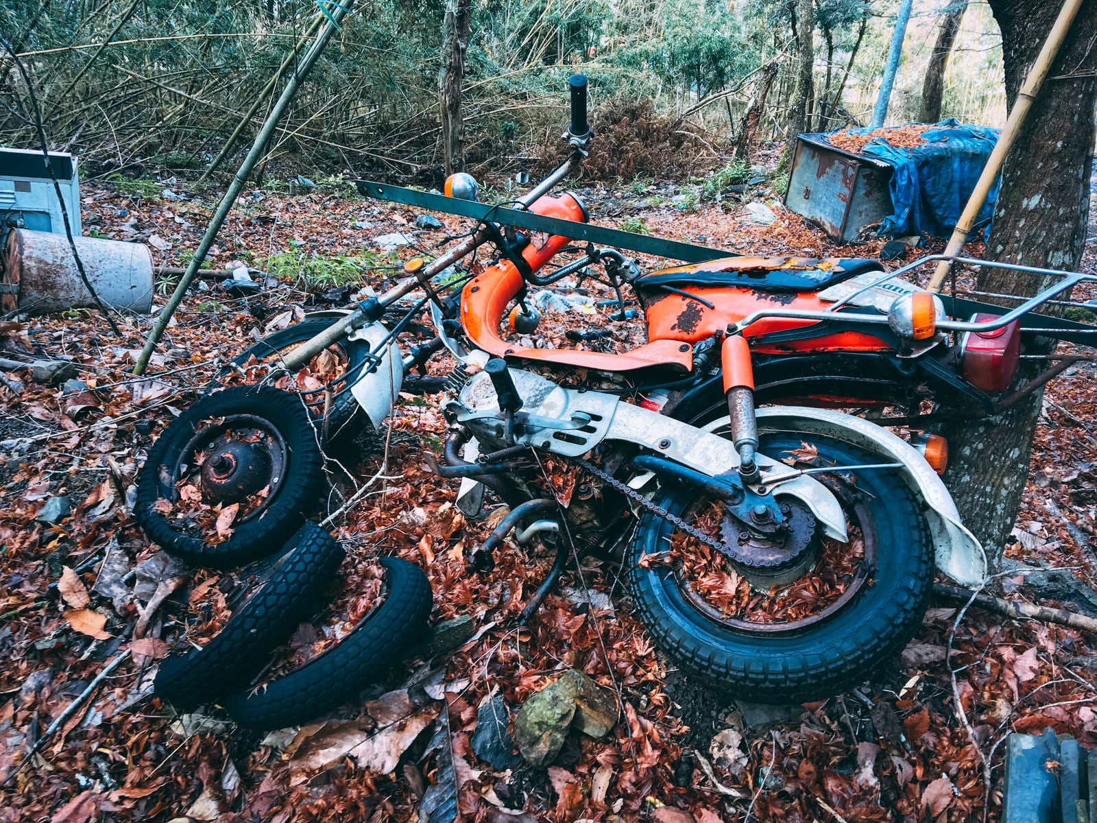 「廃棄され錆付き落ち葉に埋もれかけたバイク」の写真