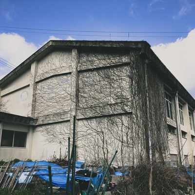 ツタに侵食された廃校の体育館の写真