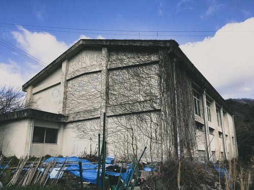 ツタに侵食された廃校の体育館の写真