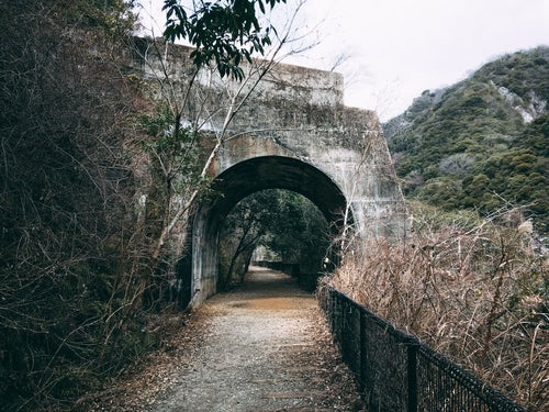 山道の中に現れた短いトンネル（JR福知山線廃線敷）の写真