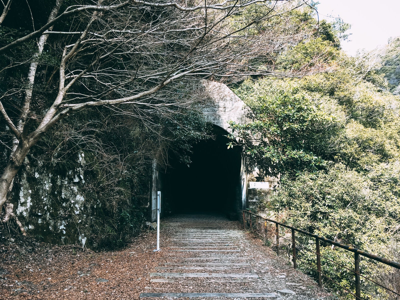 「樹々が生い茂るトンネルの入口（JR福知山線廃線敷）」の写真