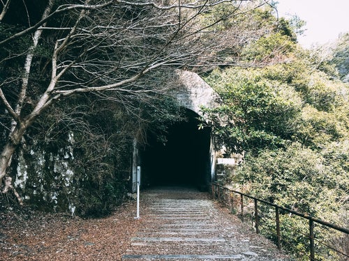 樹々が生い茂るトンネルの入口（JR福知山線廃線敷）の写真