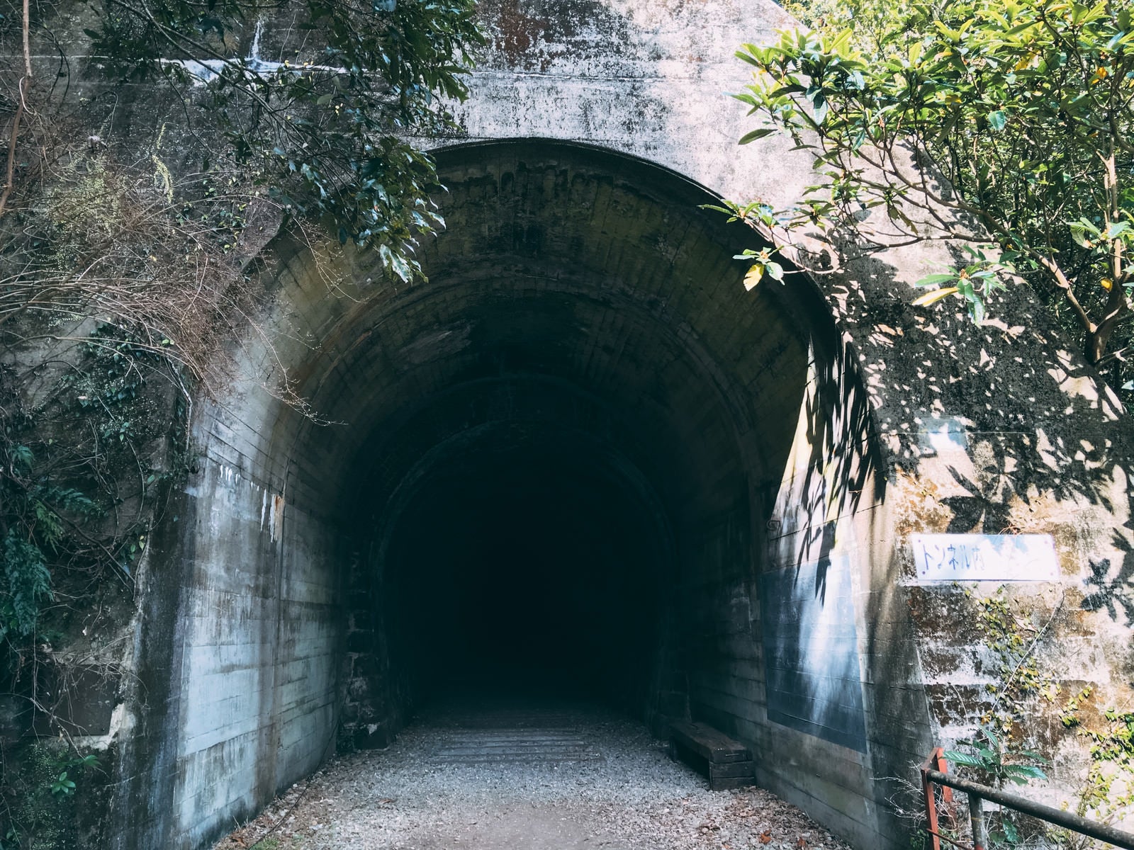 「先が全く見えず進むのに躊躇しそうなトンネル（JR福知山線廃線敷）」の写真
