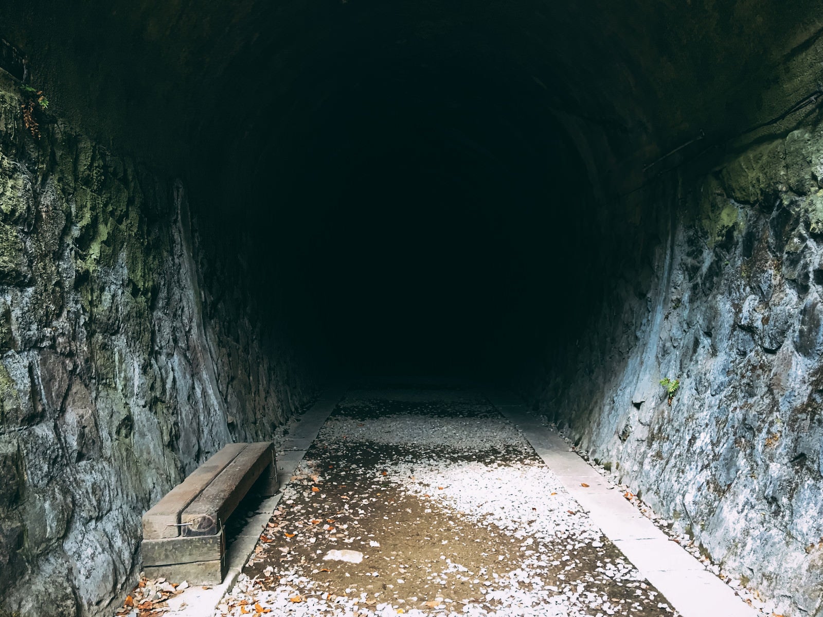 「進むには懐中電灯が必要そうなトンネル（JR福知山線廃線敷）」の写真