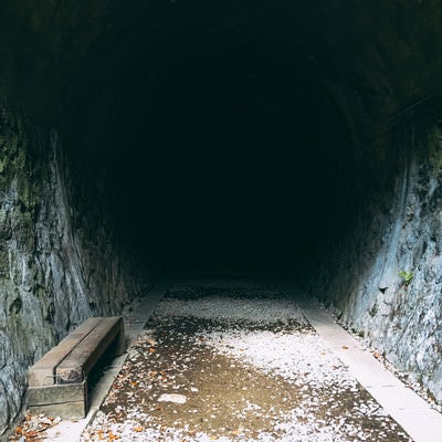 進むには懐中電灯が必要そうなトンネル（JR福知山線廃線敷）の写真