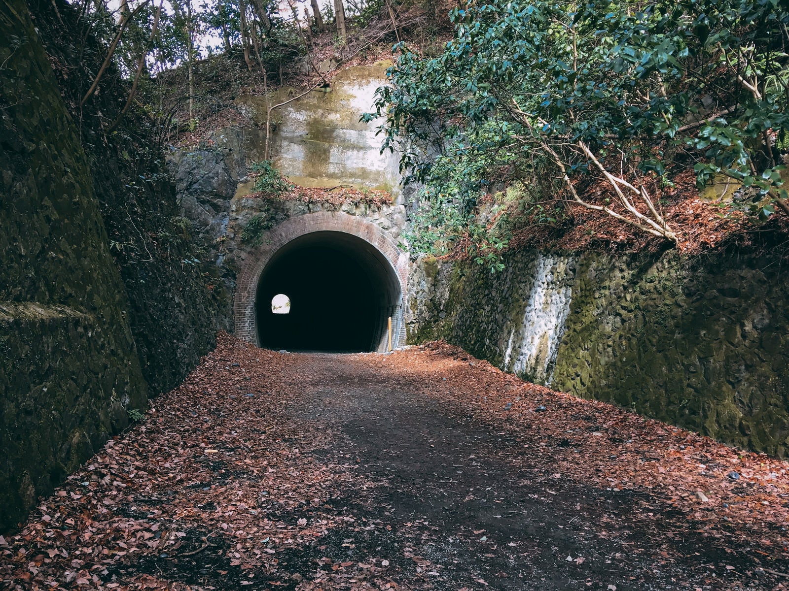 「出口が奥のほうに見えるトンネルの入口（JR福知山線廃線敷）」の写真