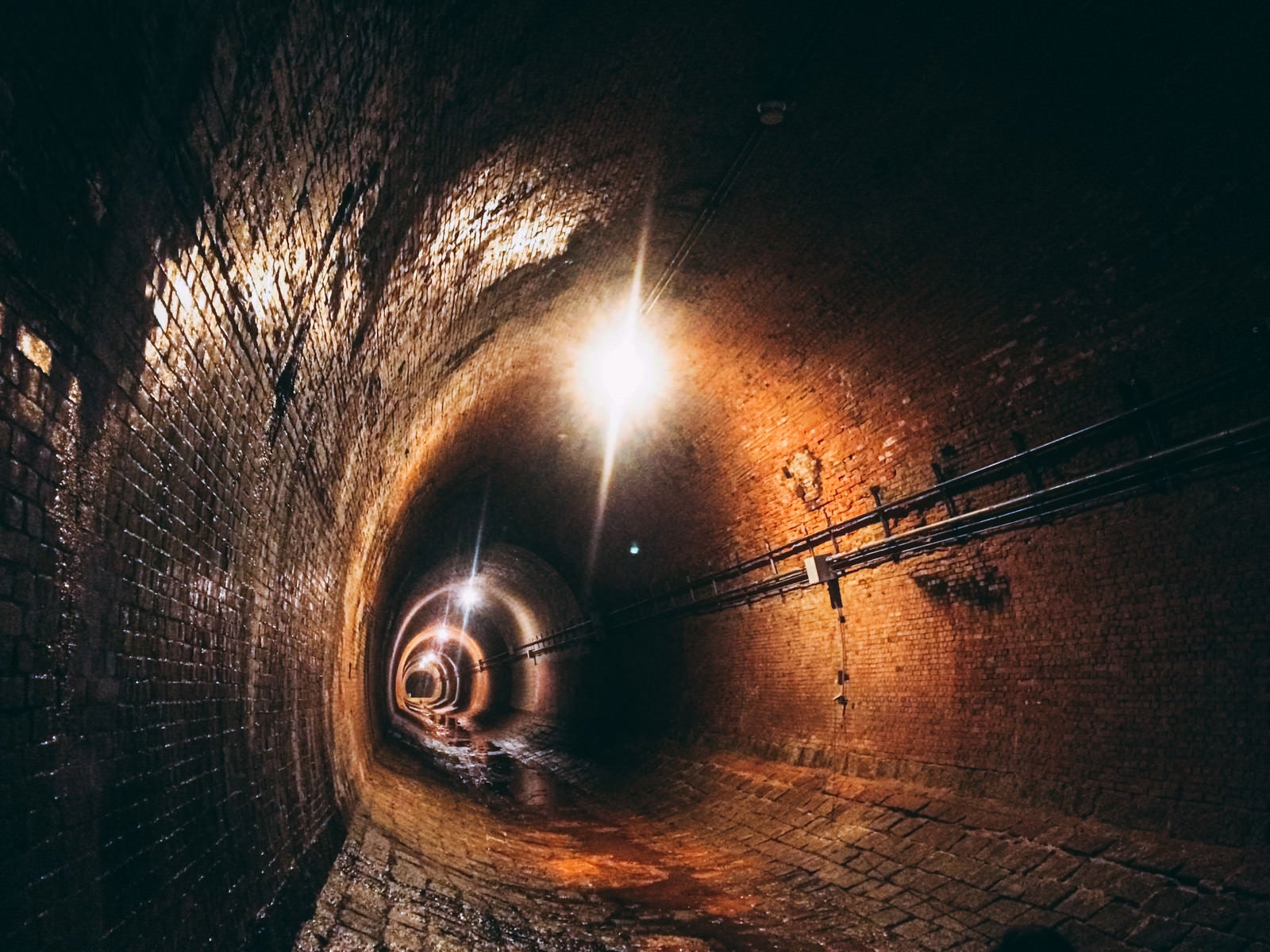 「湿り気のあるトンネル内部（湊川隧道）」の写真