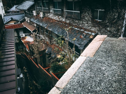 蔦に侵食されて倒壊していく家屋の写真