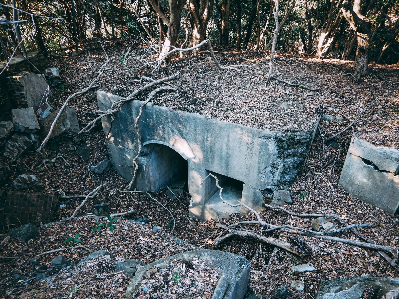 「落ち葉に埋もれる廃水路」の写真
