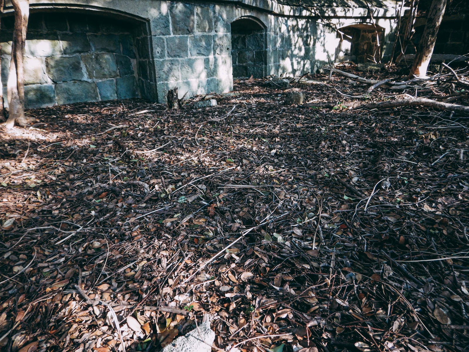 「踏み放題の落ち葉と廃建物」の写真