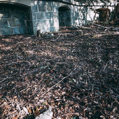 踏み放題の落ち葉と廃建物の写真
