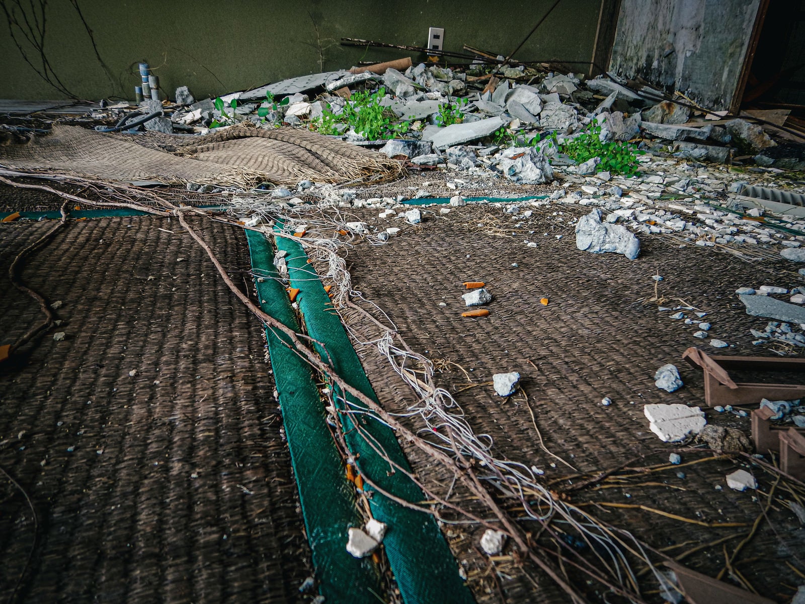 「畳から生えた雑草と砕けたコンクリート」の写真