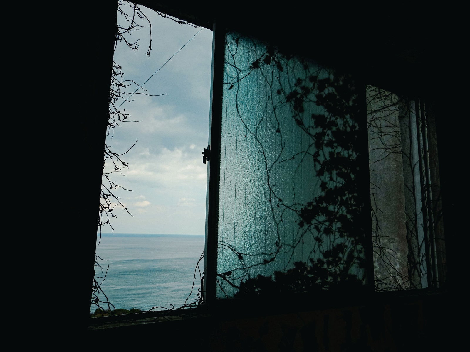 「アンニュイないばらの窓」の写真
