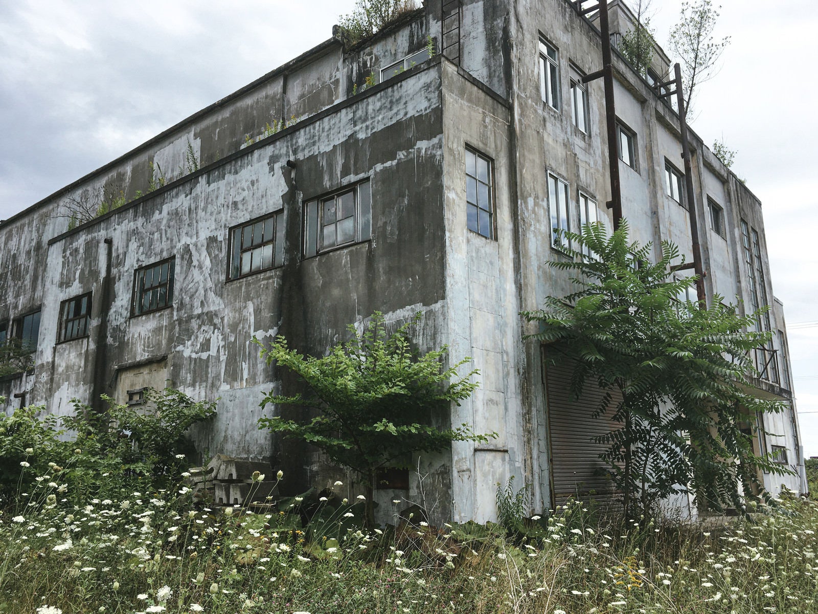 「美唄炭鉱の映画館の廃墟」の写真