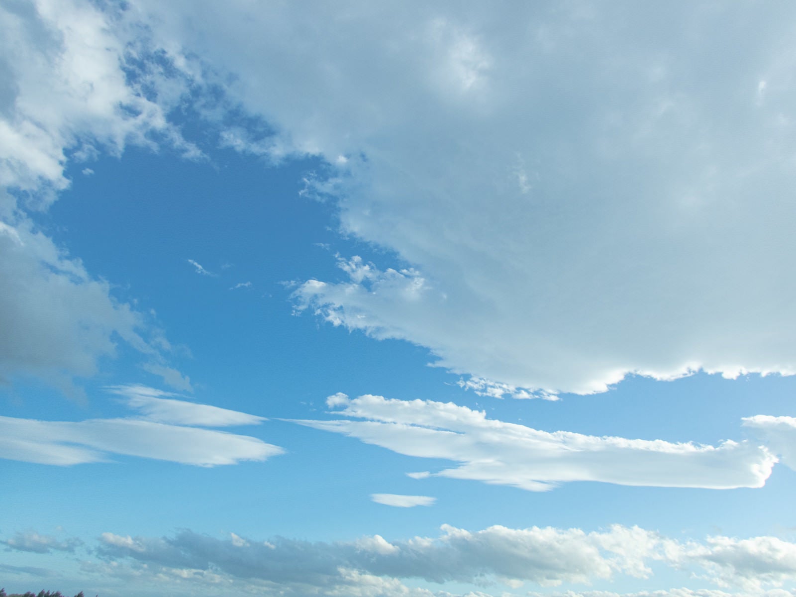 「空の青さと曇」の写真
