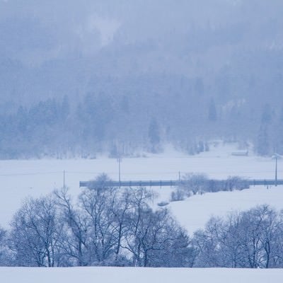 雪の積もる田舎の写真