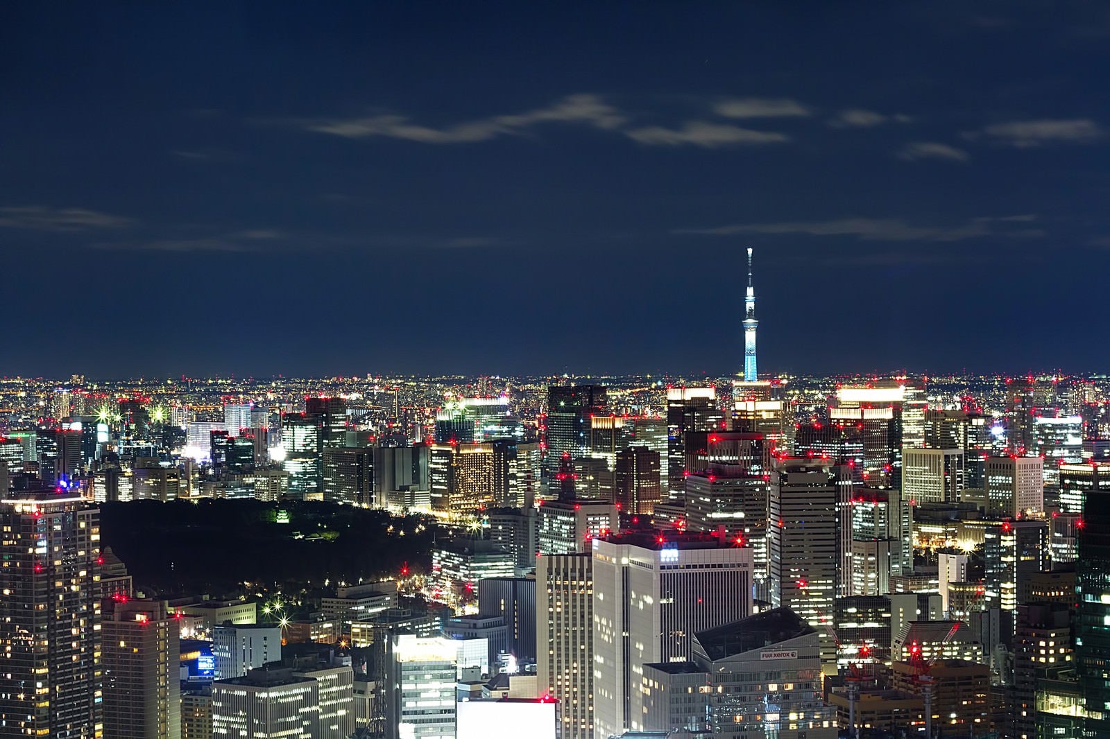 「スカイツリーと東京の夜景（六本木ヒルズ展望台から）」の写真