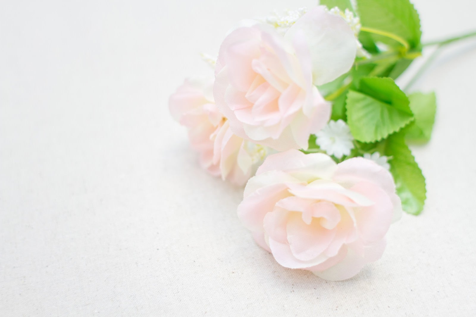 「白いバラの造花」の写真